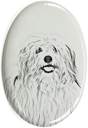 Coton de Tulear, Ovális alakú Sírkő a Kerámia egy Kép egy Kutyát