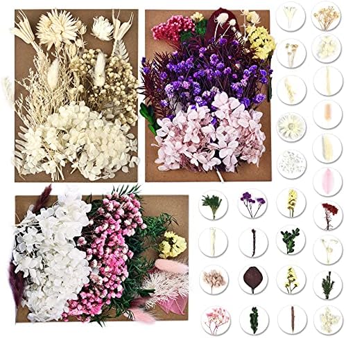 DALARAN 6 Csomag Szárított Virágok gyertyakészítés DIY Préselt, Szárított Virágok, Több Természetes Préselt Virágok, Színes,