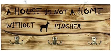 Yorkshire terrier, egy Fából készült Fal peg, Fogas A Kép egy Kutyát