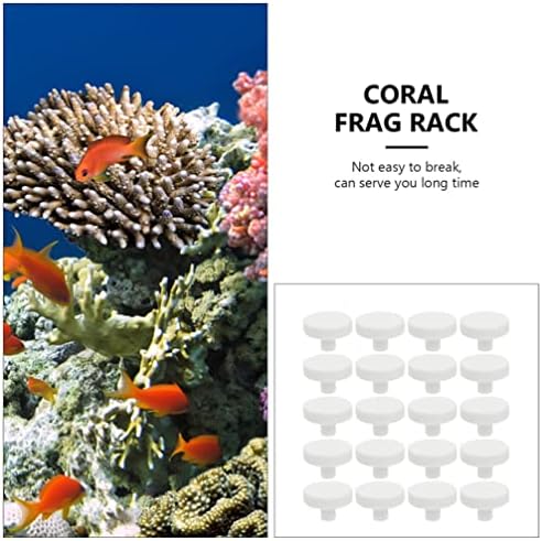 Ipetboom Fehér Felszolgáló Tálca Fehér Felszolgáló Tálca Fehér Felszolgáló Tálca Akvárium Coralline Korall Frag Csatlakozók: