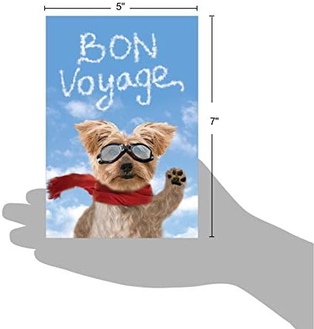 NobleWorks - Viszlát Kutya - Vicces kedvtelésből tartott Állat Bon Voyage üdvözlőlap Boríték C6345BVG