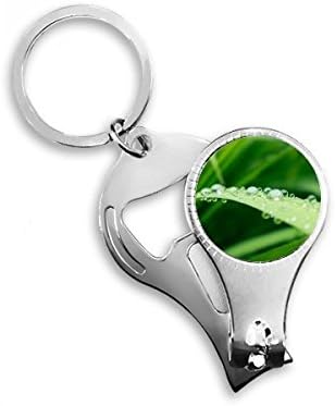 Zöld Levél A Növény Kép, A Természet Köröm Zimankó Gyűrű Kulcstartó Sörnyitó Clipper