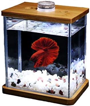 hanxiaoyishop akvárium Személyiség Kreatív Üveg akvárium, Akvárium Nappali Asztal Fashion Asztali Kis Mini Akvárium Hal Tálak (Szín : Egy)