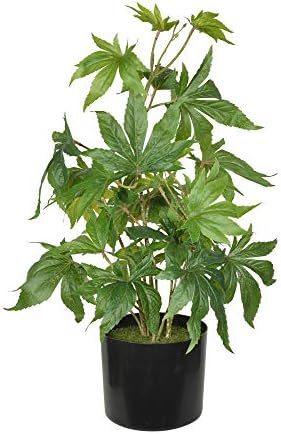 TenWaterloo 24 Hüvelyk Mesterséges Marihuána Növény, Cserepes Növény, Kannabisz Növény