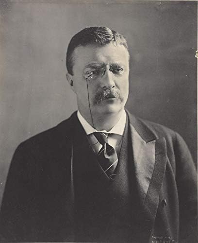 Theodore Roosevelt Fotó - a Történelmi Mű-től 1902 - amerikai Elnök Portré - (8 x 10) - Semi-Gloss