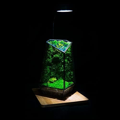 HIRO Vízi Nano Akvárium Nő LED Fény (5W), valamint a Terrárium Növény Konténer Csomag