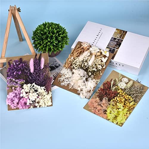 DALARAN 5 Csomag Szárított Virágok gyertyakészítés DIY Préselt, Szárított Virágok, Több Természetes Préselt Virágok, Színes,