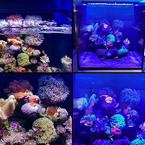 lucare 50W 36-48 Hüvelyk tengeri Akvárium Fény Teljes Spektrumát LED-es, Exkluzív Coral Reef Fény Spektrumát, a Tengeri akvárium，Szabályozható