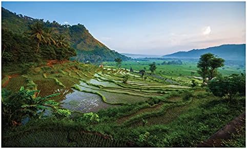 Lunarable Táj Kerámia Fogkefe Tartó, a Természet Szabadtéri helyszíni Fotó a rizsföldek Balin, s Napkelte Égen, Dekoratív Sokoldalú Pulton