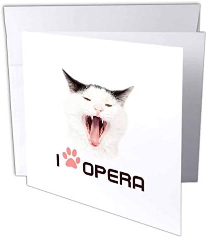 3dRose Macska Énekel egy Dalt Hangosan. Szeretem Az Operát. Vicces Opera Szerető Ajándék Üdvözlő Kártya, 6, 6 hüvelykes (gc_321280_5)