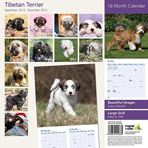 Mágnes & Acél Tibeti Terrier 2015 Fali Naptár