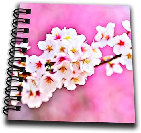 3dRose Szép Kép, a Fény Beadni cseresznyevirág Virág Festmény - Rajz Könyvek (db-365073-2)