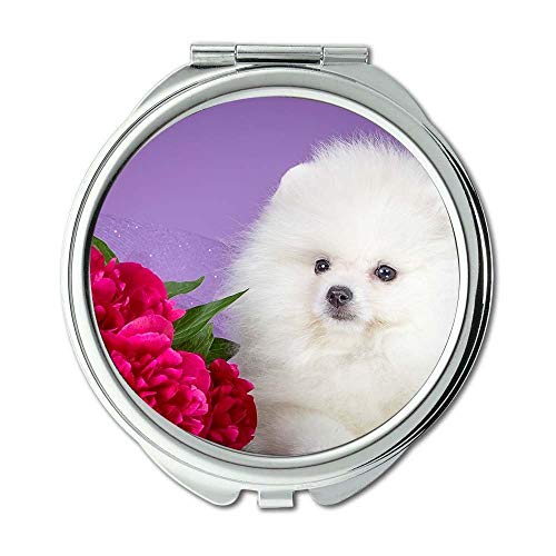 Tükör,Kis Tükör,francia Bulldog, Kezében aranyos kutya,sminktükör,1 X 2X Nagyító