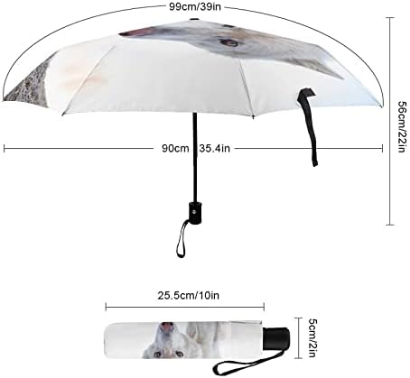 Hó Farkas Utazási Esernyő Hordozható Szélálló Összecsukható Esernyő Eső Auto nyit-zár
