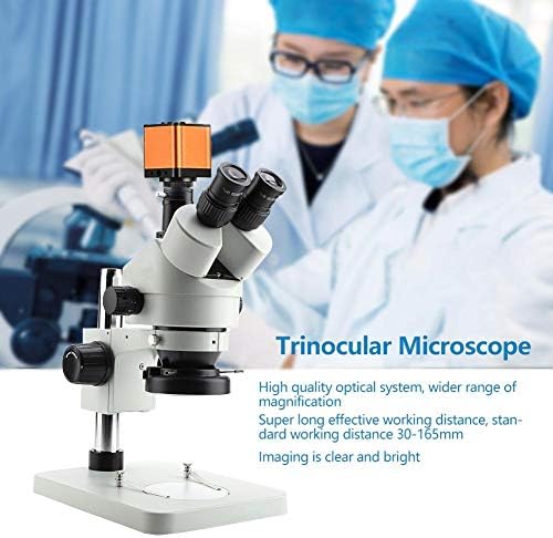 Trinocular Sztereó Mikroszkóp, Trinocular Nagyítású Sztereó Zoom Mikroszkóp WF10X / 20 mm-es Szemlencse 0.7 X 4,5 X Nagyítás Cél(US Plug