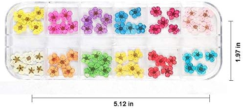 LPOne 60 db 3D-s Köröm Szárított Virágok Gyanta Tartozékok Mini Természetes Köröm Készletek Matrica Vegyes Tartozék Csillagos Virág Matrica,