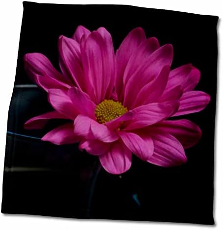 3dRose Bob Molchan Fotózás - Virágok - Rózsaszín Daisy A Bor Pohár, Törölköző (twl-269377-3)