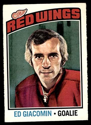 1976 O-Pee-Chee NHL 160 Ed Giacomin Detroit Red Wings (Hoki-Kártya) VG Vörös Szárnyak